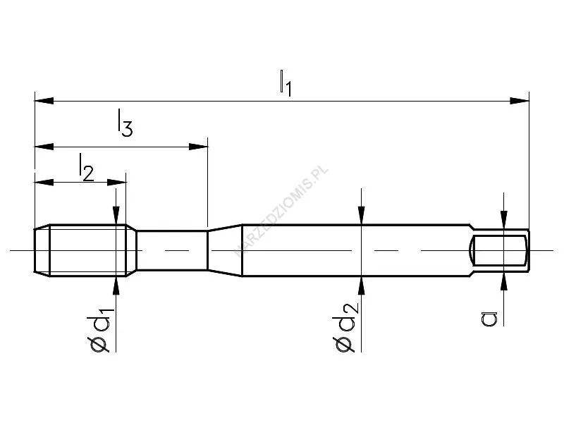 Rysunek techniczny: Gwintownik maszynowy wysokowydajny NGMm/1 DIN 371/1-B M 2 6H HSSE INOX